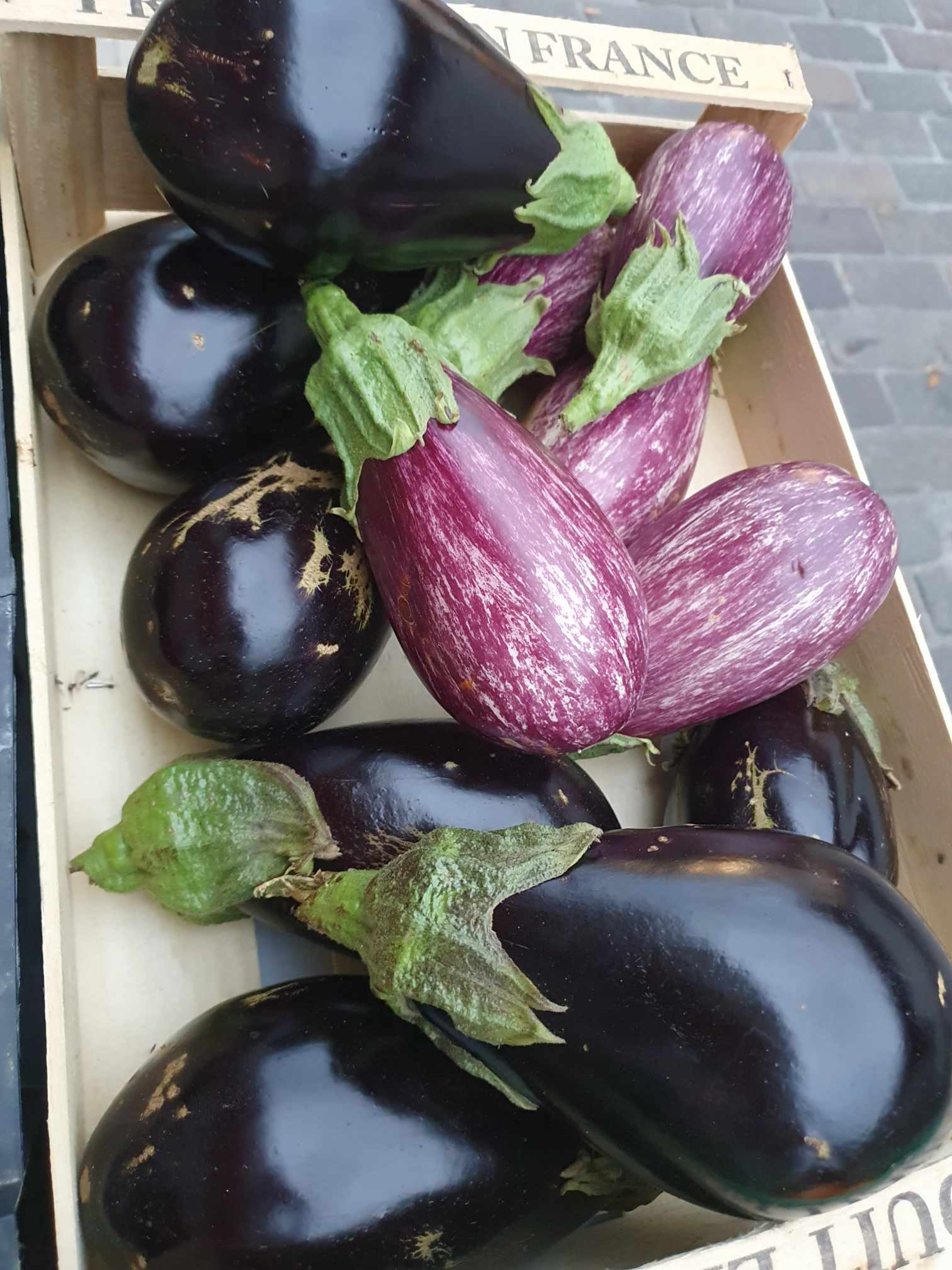 Aubergines tigrées