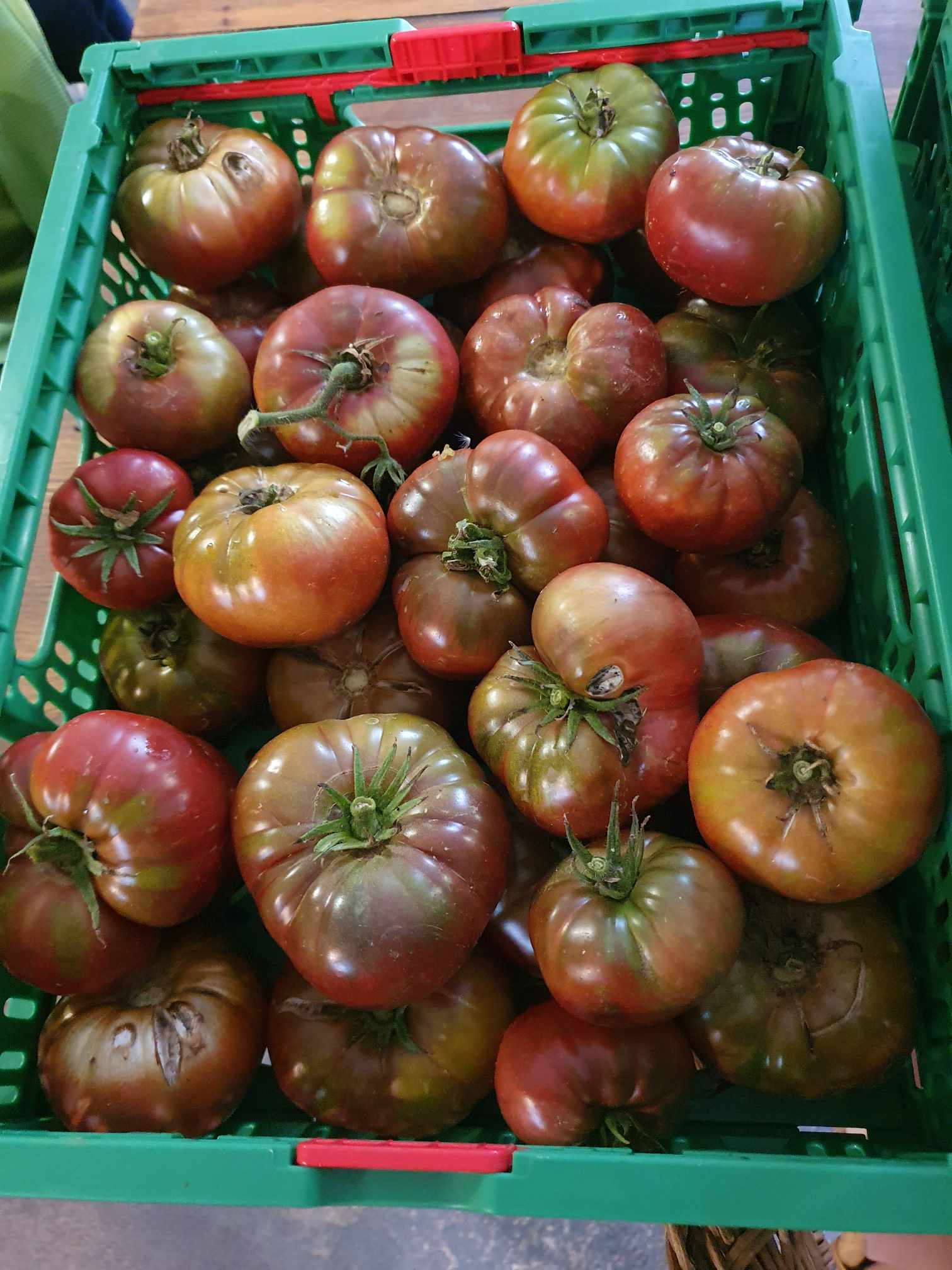 Tomates jaunes ou noires